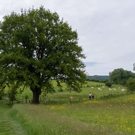 Recreatieboerderij Tergracht - Honnesstel * Epen