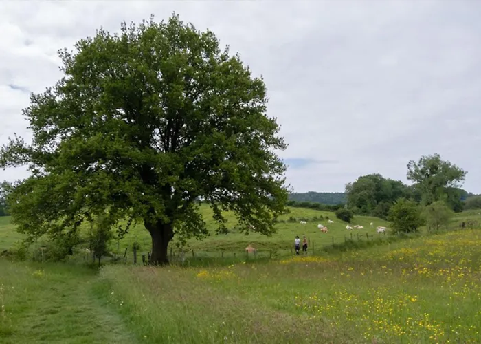 Recreatieboerderij Tergracht - Honnesstel * Epen